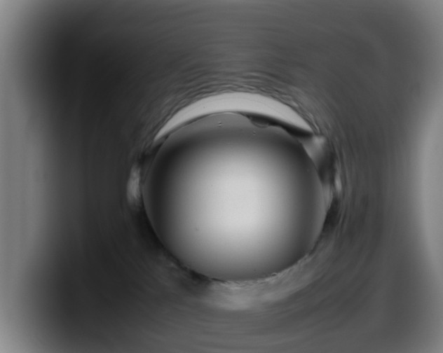X0000099940041200805301226