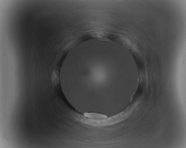 X0000099940043200805301225