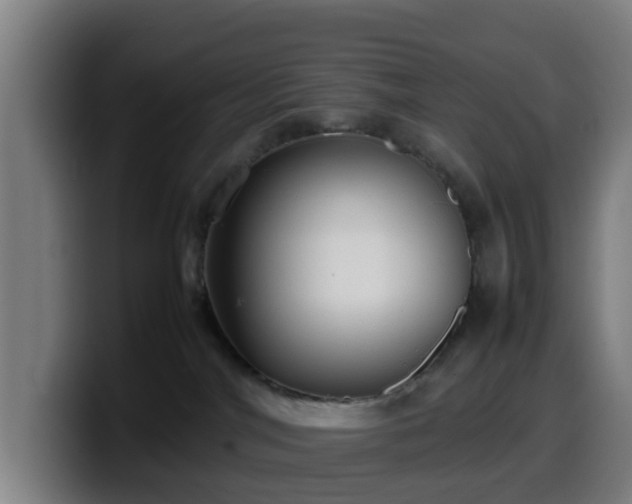 X0000099940044200805301225