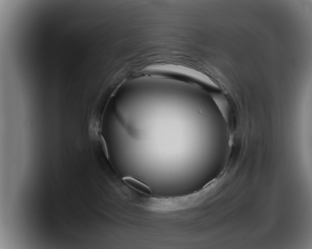 X0000099940045200805301225
