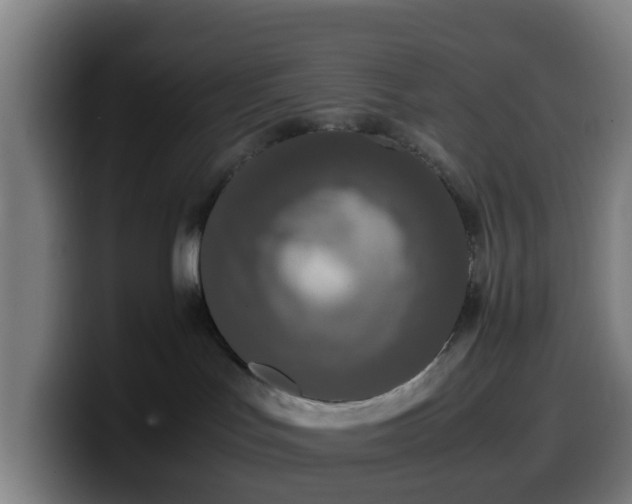 X0000099940047200805301225