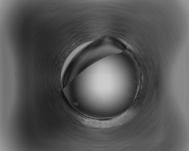 X0000099940048200805301225