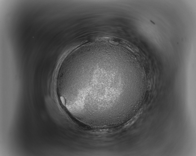 X0000099940049200805301225