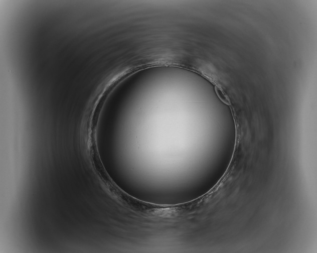 X0000099940050200805301225