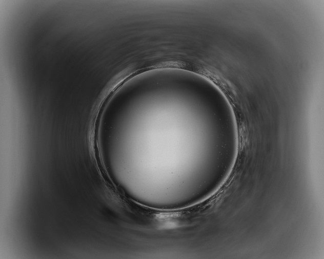 X0000099940051200805301225
