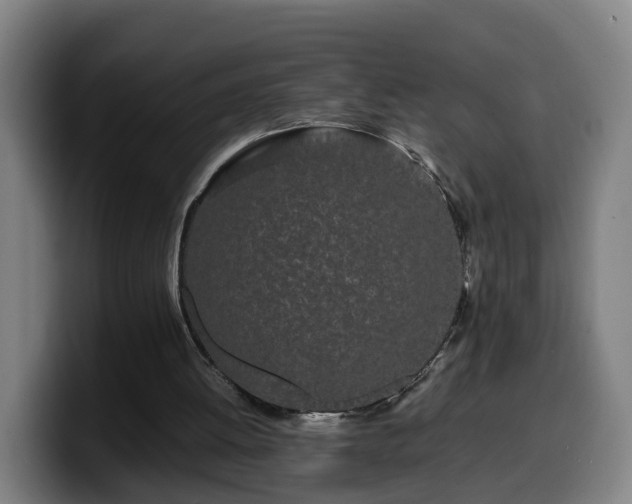 X0000099940052200805301225