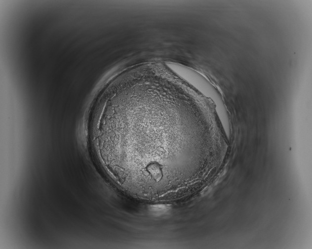 X0000099940053200805301225