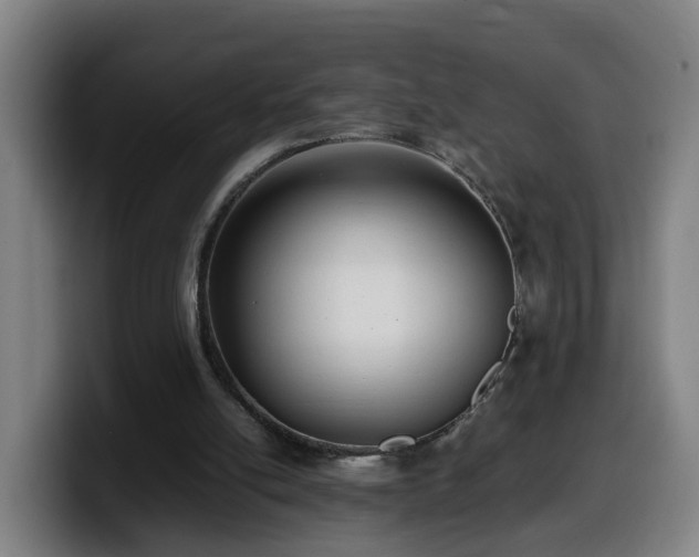 X0000099940054200805301225