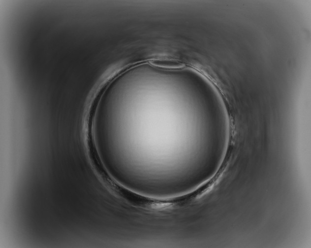 X0000099940055200805301225