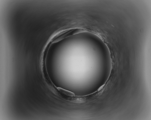 X0000099940056200805301225