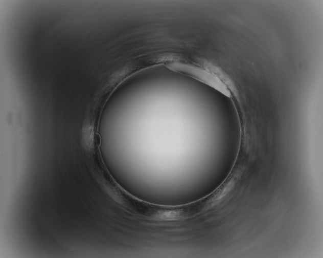 X0000099940057200805301225