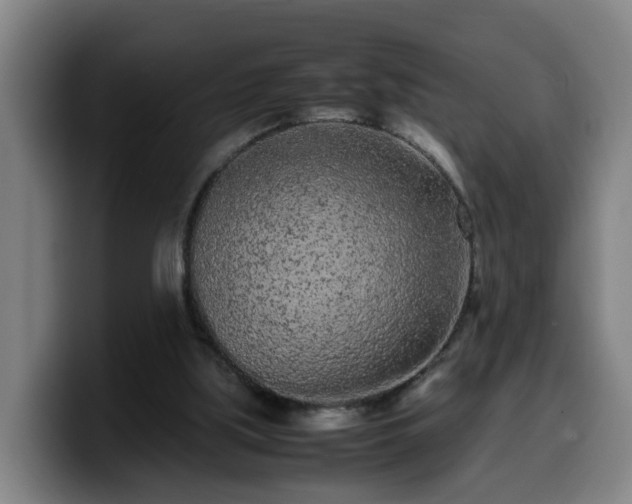 X0000099940059200805301225