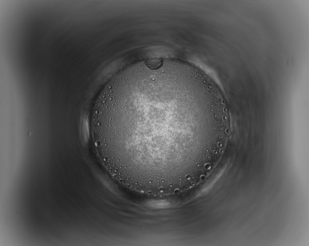 X0000099940061200805301225