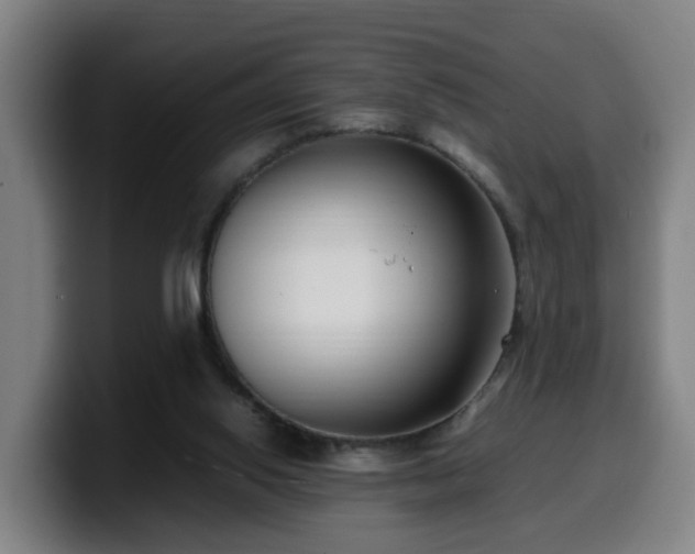 X0000099940062200805301225