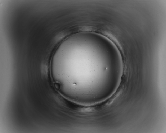 X0000099940063200805301225