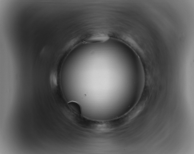 X0000099940068200805301225