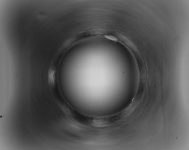 X0000099940070200805301225