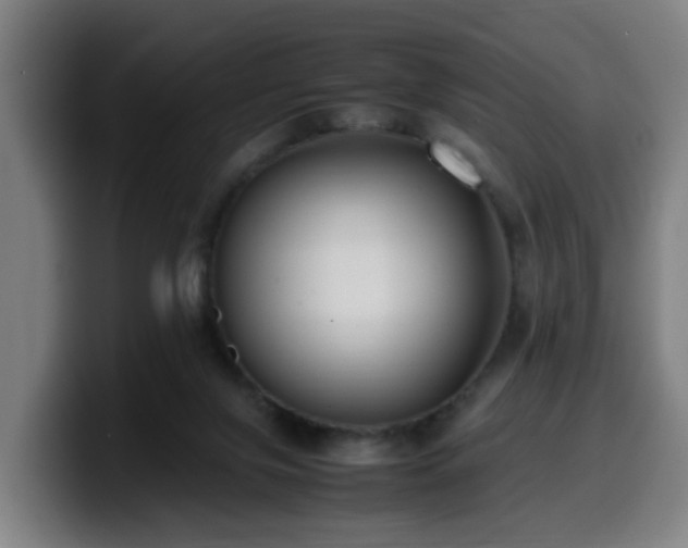 X0000099940071200805301225
