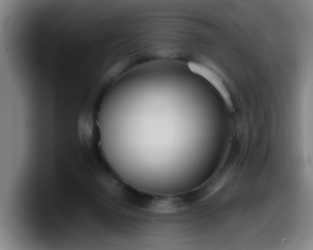 X0000099940072200805301225
