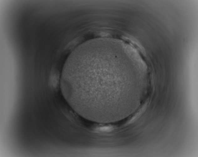 X0000099940073200805301225