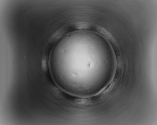 X0000099940074200805301225