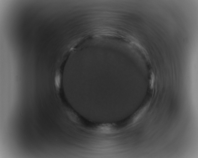 X0000099940076200805301225