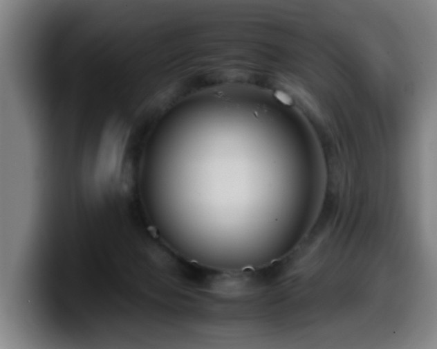 X0000099940077200805301225