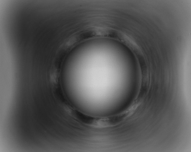 X0000099940078200805301225