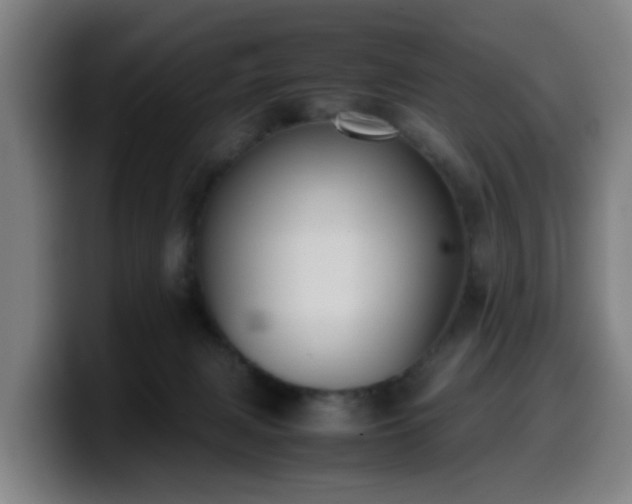 X0000099940079200805301225