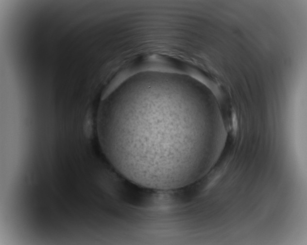 X0000099940080200805301225