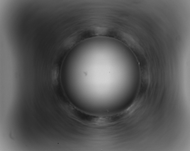 X0000099940082200805301225