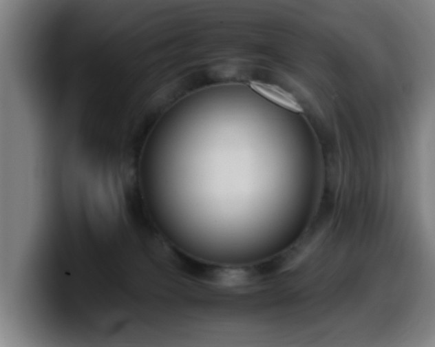X0000099940085200805301225