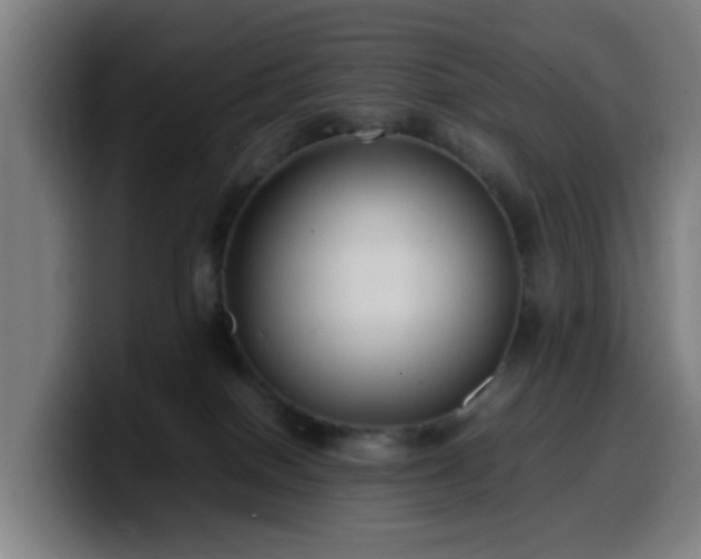 X0000099940086200805301225