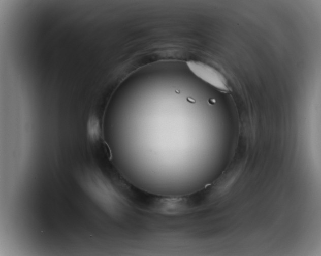 X0000099940089200805301225