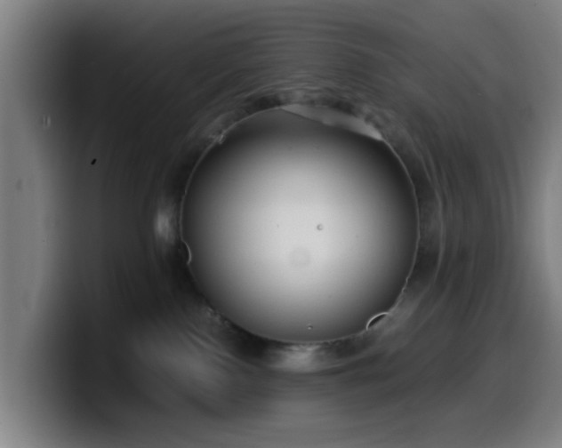 X0000099940090200805301225