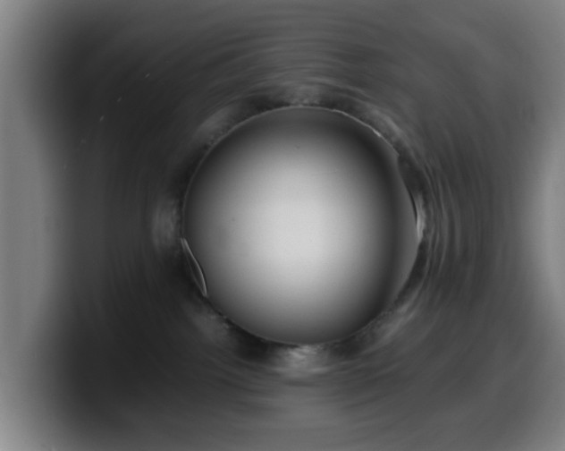 X0000099940092200805301225