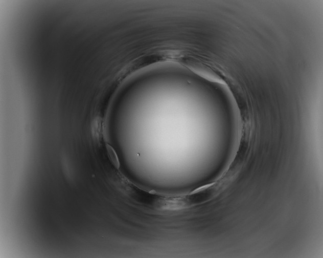 X0000099940093200805301225