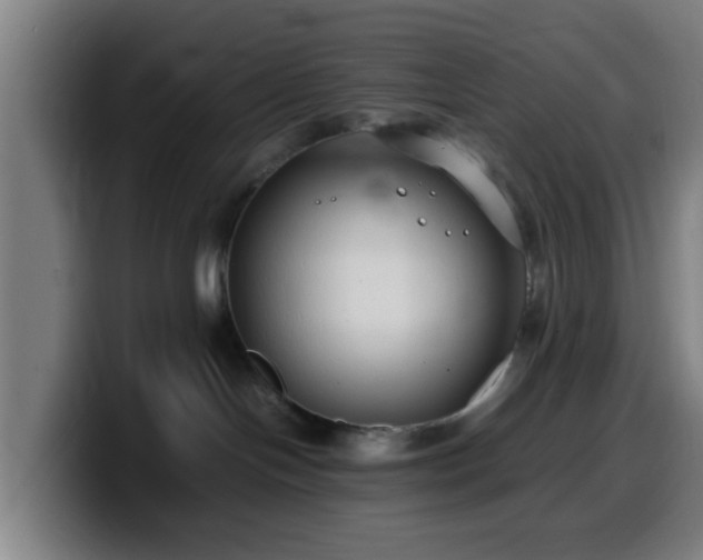 X0000099940094200805301225