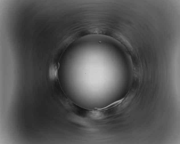 X0000099940095200805301225