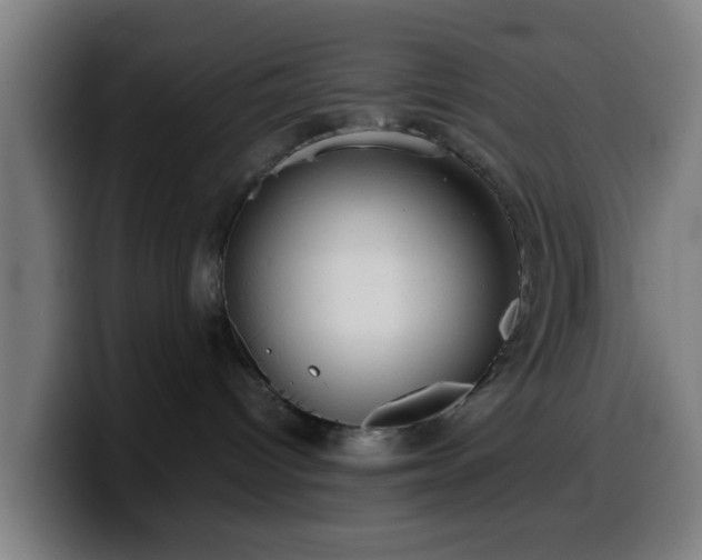 X0000099940096200805301225