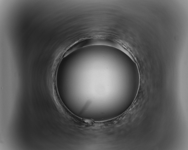 X0000099940097200805301225