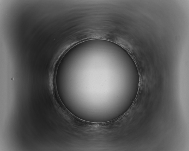 X0000099940098200805301225
