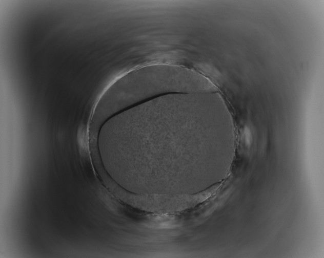 X0000099940100200805301225