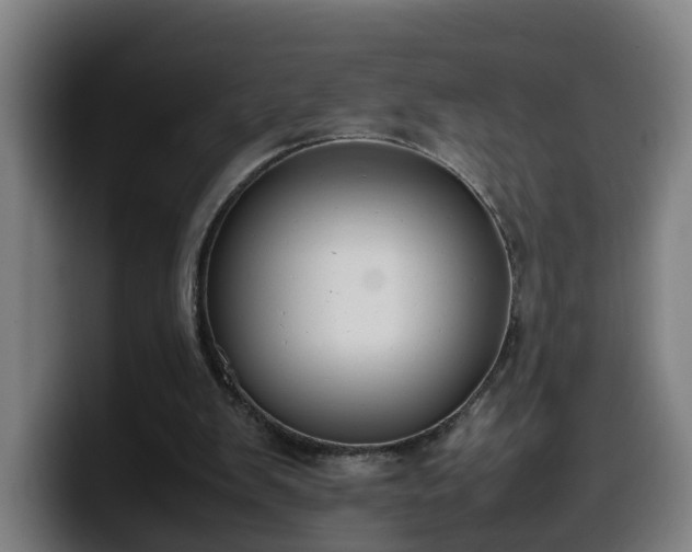 X0000099940103200805301225