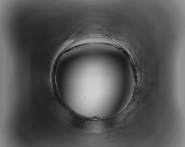 X0000099940104200805301225