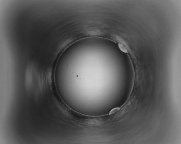 X0000099940106200805301225