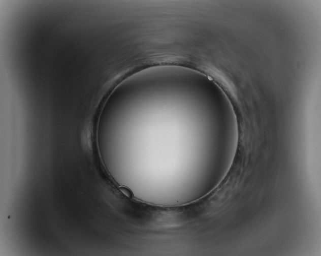 X0000099940107200805301225