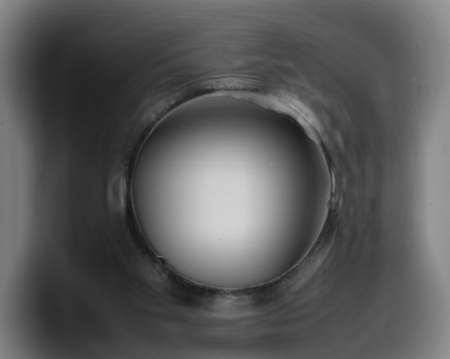 X0000099940109200805301225