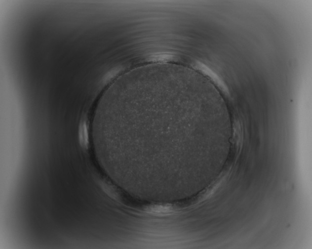 X0000099940110200805301225