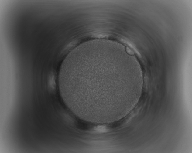 X0000099940114200805301225